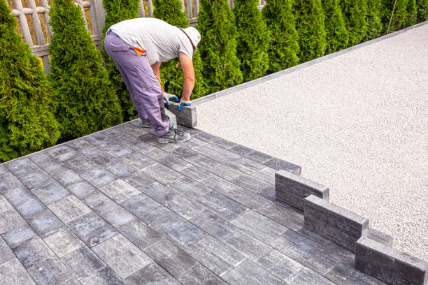 Best Driveway Paving Contractor  in Austin, MN